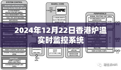 2024年12月26日 第7页