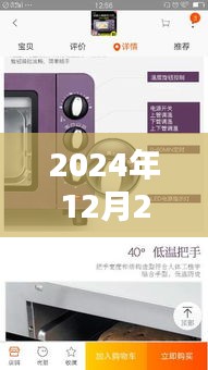 科技与舒适并存，2024年智能烤箱温度实时监测