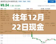 实时查询往年12月22日现金收支记录攻略