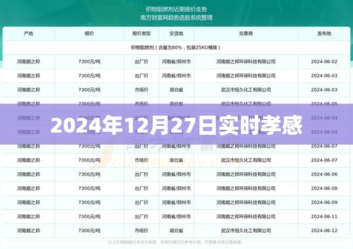 孝感实时资讯，2024年12月27日最新动态速递。