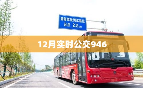 实时公交946路线信息，最新更新十二月数据