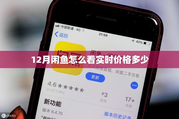 闲鱼实时价格查询攻略