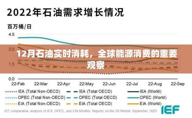 全球能源消费观察，12月石油实时消耗数据解析