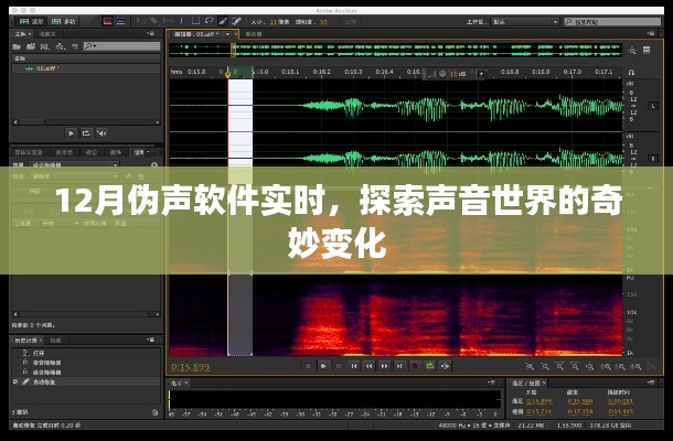 12月伪声软件实时探索，声音世界的奇幻之旅