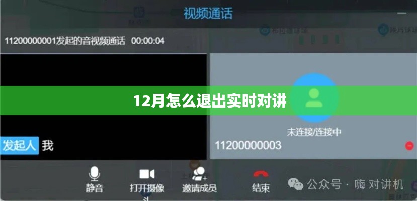 实时对讲退出指南，如何优雅结束对话？