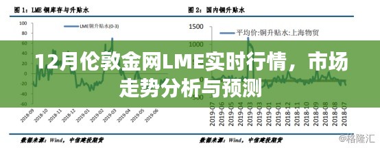 伦敦金网LME实时行情分析与预测