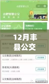 丰县公交实时查询，12月最新出行信息一览