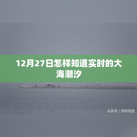 12月27日实时潮汐查询指南