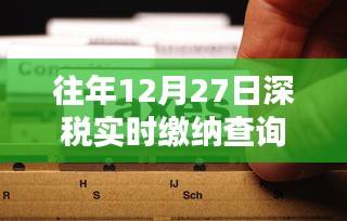 深税实时缴纳查询指南，历年12月27日操作指南