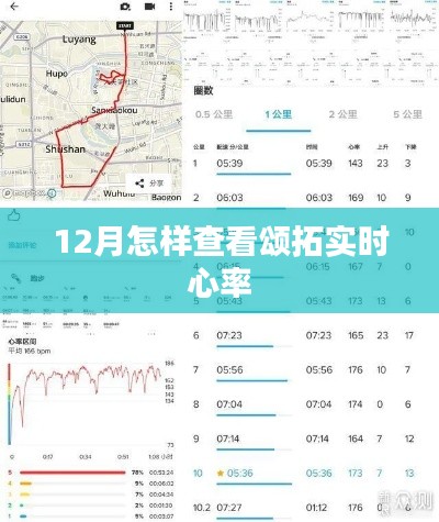 颂拓实时心率查询方法，12月操作指南