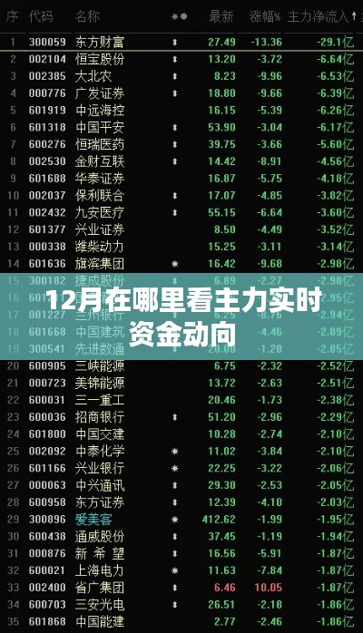 12月主力实时资金动向观测指南