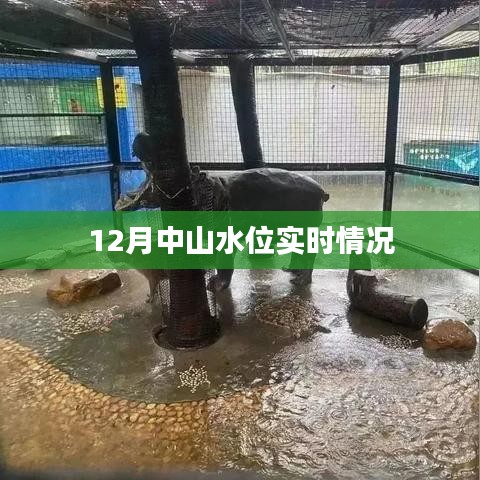 中山最新水位实时报告