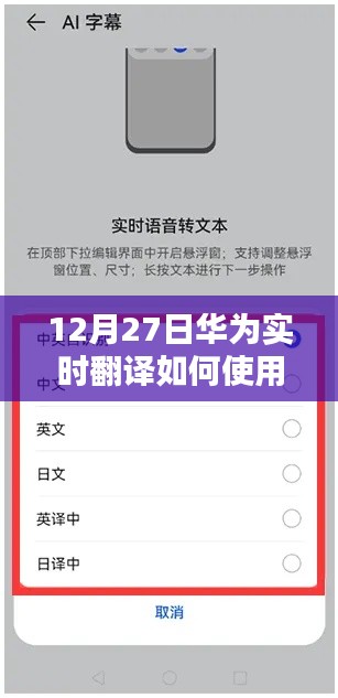 华为实时翻译使用指南，操作方法与技巧