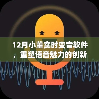 12月小董实时变音软件，重塑语音魅力的创新工具