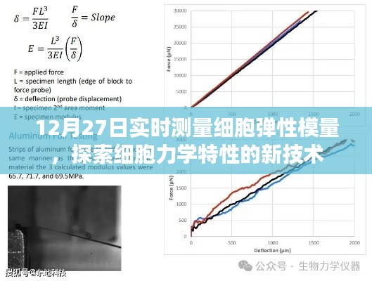 实时测量细胞弹性模量新技术，揭秘细胞力学特性