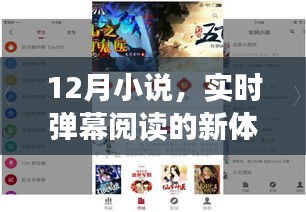 实时弹幕阅读新体验，12月小说精选