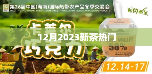 2023年12月新茶风潮来袭