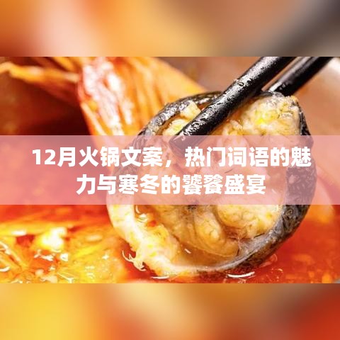 寒冬火锅盛宴，热门词汇的魅力与饕餮体验