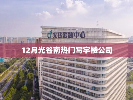 12月光谷南写字楼公司，商务热门之选