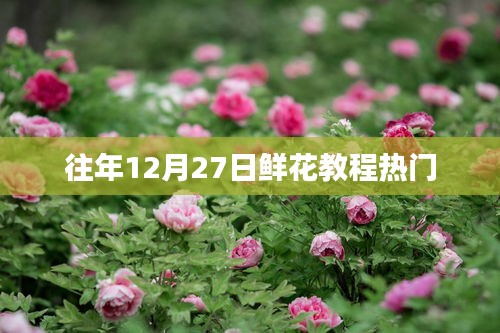 『年末鲜花教程，12月27日热门指南』