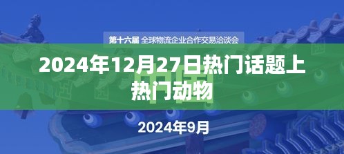 揭秘热门动物话题，揭秘动物界的秘密