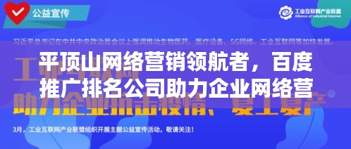 平顶山网络营销领航者，百度推广排名公司助力企业网络营销飞跃