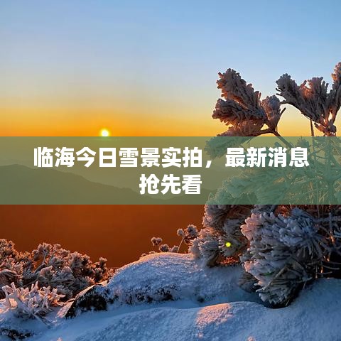 临海今日雪景实拍，最新消息抢先看