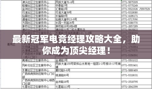 最新冠军电竞经理攻略大全，助你成为顶尖经理！