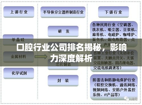 口腔行业公司排名揭秘，影响力深度解析