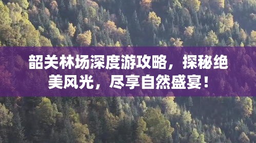 韶关林场深度游攻略，探秘绝美风光，尽享自然盛宴！