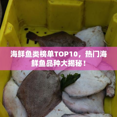 海鲜鱼类榜单TOP10，热门海鲜鱼品种大揭秘！