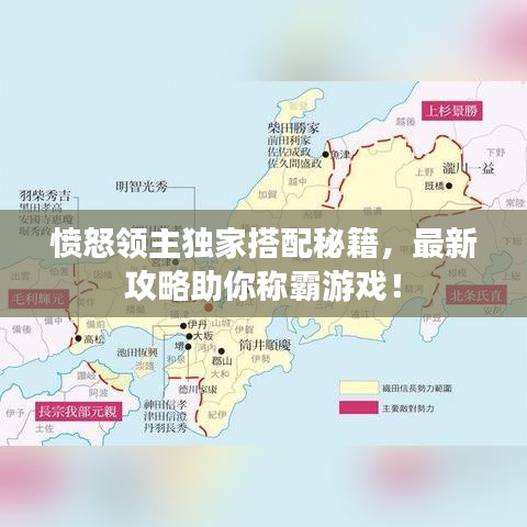 愤怒领主独家搭配秘籍，最新攻略助你称霸游戏！