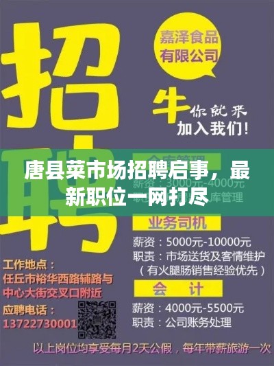 唐县菜市场招聘启事，最新职位一网打尽