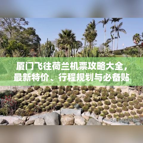 厦门飞往荷兰机票攻略大全，最新特价、行程规划与必备贴士