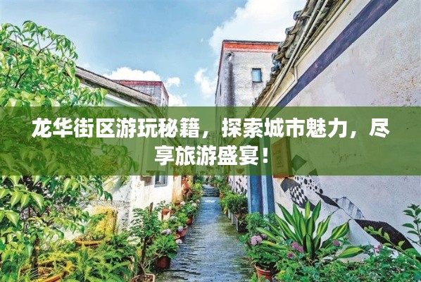 龙华街区游玩秘籍，探索城市魅力，尽享旅游盛宴！