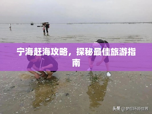 宁海赶海攻略，探秘最佳旅游指南