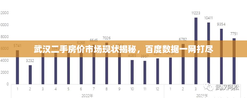 武汉二手房价市场现状揭秘，百度数据一网打尽