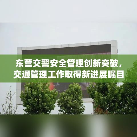 东营交警安全管理创新突破，交通管理工作取得新进展瞩目成果