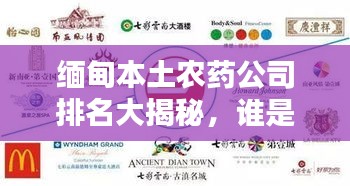 缅甸本土农药公司排名大揭秘，谁是行业领军者？