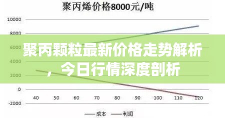 聚丙颗粒最新价格走势解析，今日行情深度剖析