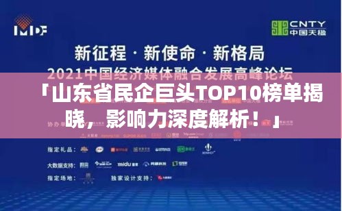 「山东省民企巨头TOP10榜单揭晓，影响力深度解析！」