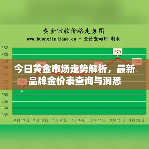 今日黄金市场走势解析，最新品牌金价表查询与洞悉