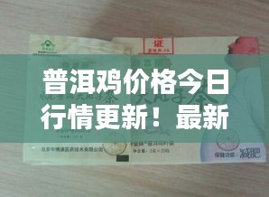 普洱鸡价格今日行情更新！最新市场动态一网打尽