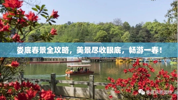 娄底春景全攻略，美景尽收眼底，畅游一春！