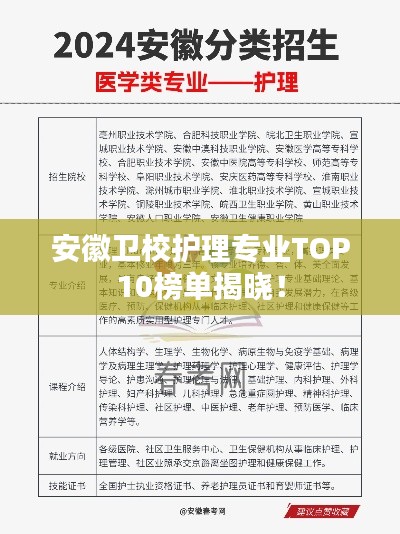 安徽卫校护理专业TOP10榜单揭晓！