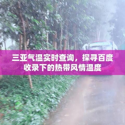 三亚气温实时查询，探寻百度收录下的热带风情温度