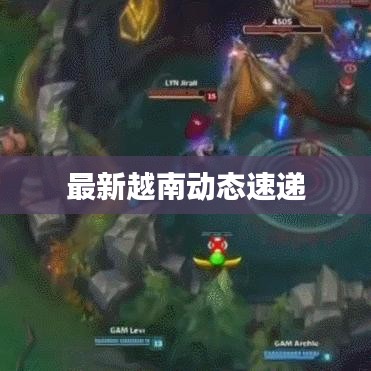 最新越南动态速递