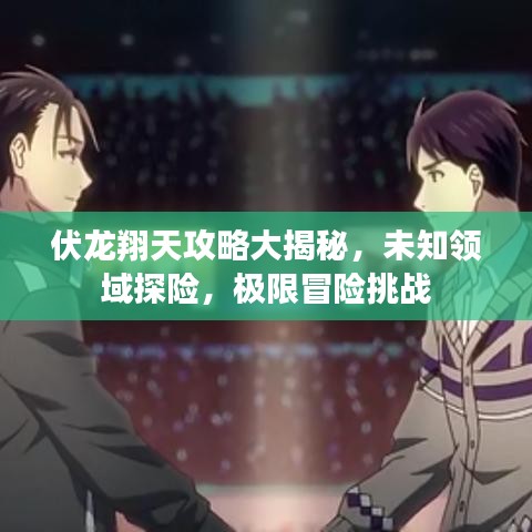 伏龙翔天攻略大揭秘，未知领域探险，极限冒险挑战
