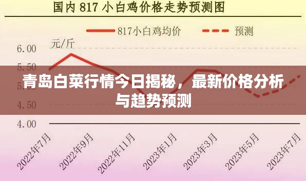 青岛白菜行情今日揭秘，最新价格分析与趋势预测