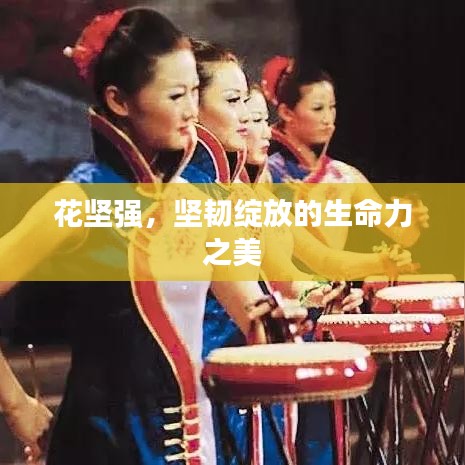 花坚强，坚韧绽放的生命力之美